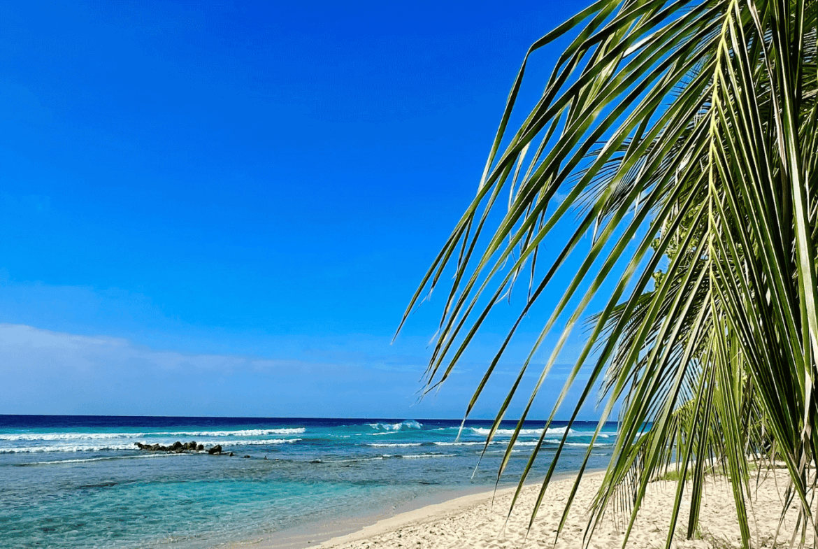 contct us prime real estate agency agent island life realty barbados luxury listings