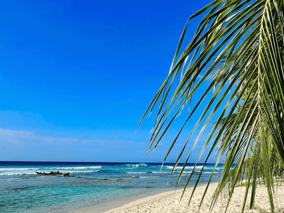 contct us prime real estate agency agent island life realty barbados luxury listings