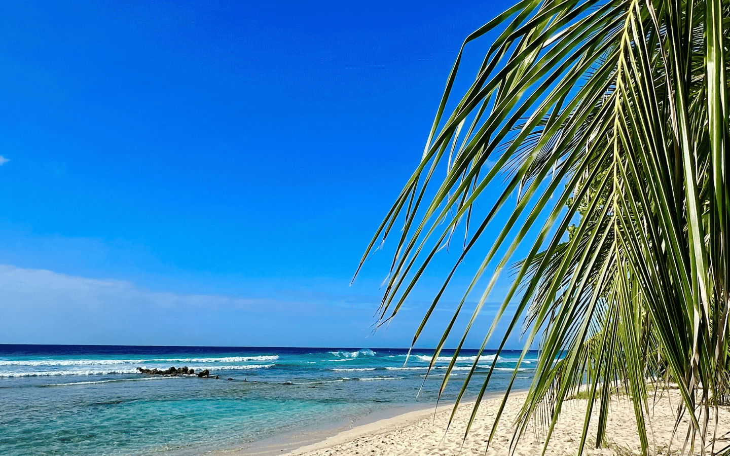 contct us prime real estate agency agent island life realty barbados luxury listings