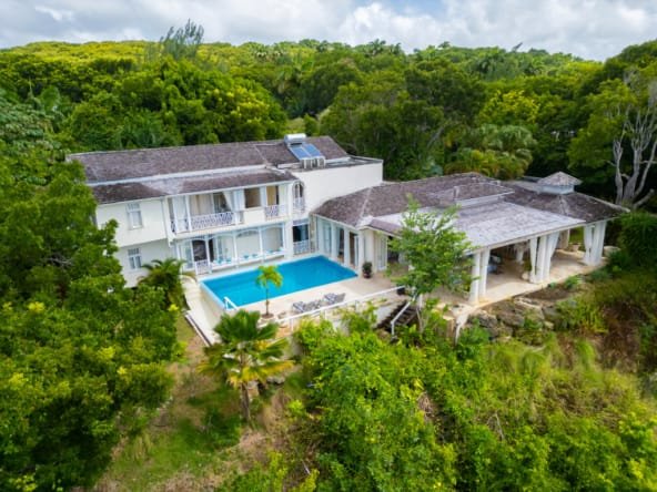 In The Trees, Turtle Back Ridge, Sion, St. James - For Sale (31)