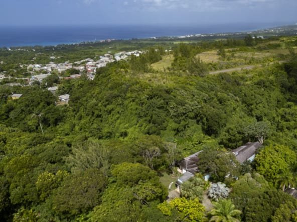 In The Trees, Turtle Back Ridge, Sion, St. James - For Sale (35)