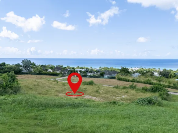 Elevated Large Lot By The Platinum Coast For Sale