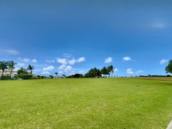 Apes Hill Polo Estate #29, Waterhall, St. James - For Sale Island Life Realty (3)