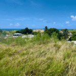 elevated ridge land with sea views south coast barbados island life reatly prime location large lot great deal price budget friendly for sale to buy